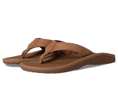 Sanuk On The Rocks In Brown