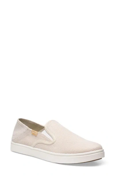 Sanuk Tydal Sneaker In Neutral