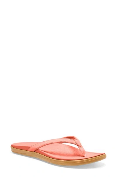 Sanuk Wave Whisper Flip Flop In Pink