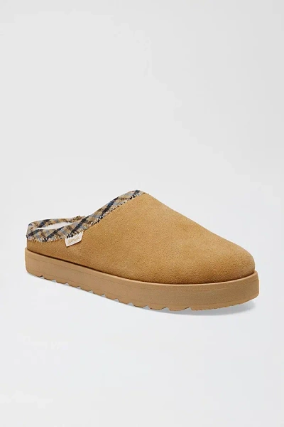 Sanuk Yoga Cloud Lounger Women's Slippers In Tan Suede, Women's At Urban Outfitters In Brown