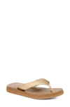Sanuk Yoga Mat Ii Flip Flop In Multi
