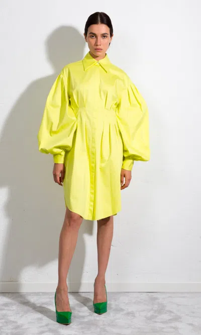 Sara Battaglia Butterfly Dress In Cedro