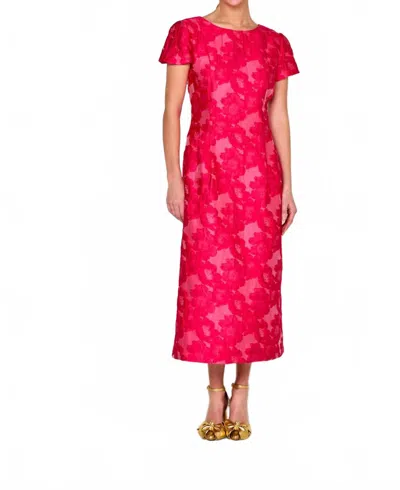 Sara Campbell Barbara Tea Length Dress In Fuchsia In Pink