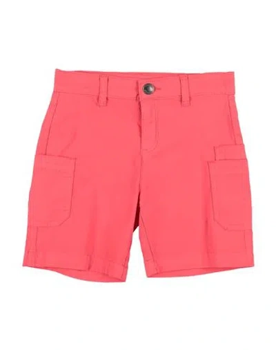 Sarabanda Babies'  Toddler Boy Shorts & Bermuda Shorts Coral Size 6 Cotton, Elastane In Pink