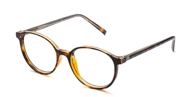 Saraghina Eve 26lv Women's Glasses Tortoiseshell Size 42 - Free Lenses - Blue Light Block Available In Shiny Tortoise