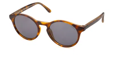 Saraghina Gildino 26stpg Men's Sunglasses Tortoiseshell Size 46