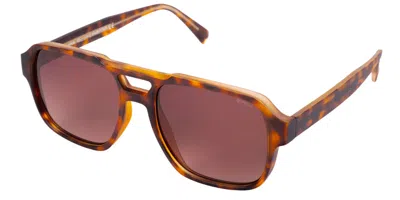Saraghina Igor 26sun Men's Sunglasses Tortoiseshell Size 55