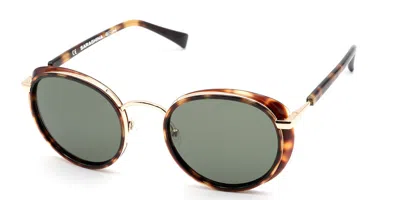 Saraghina Isa 309g15 Women's Sunglasses Tortoiseshell Size 50 In Gold,tortoise