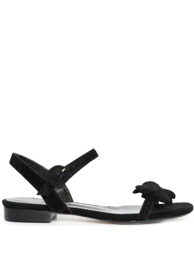 Sarah Chofakian Forest Sandalen In Schwarz