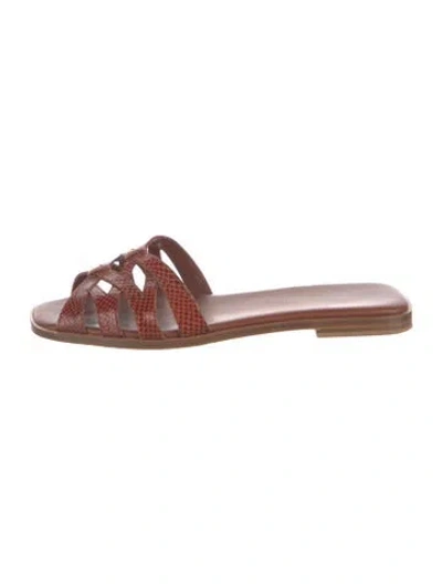 Pre-owned Sarah Flint Leather Animal Print Flats In Brown