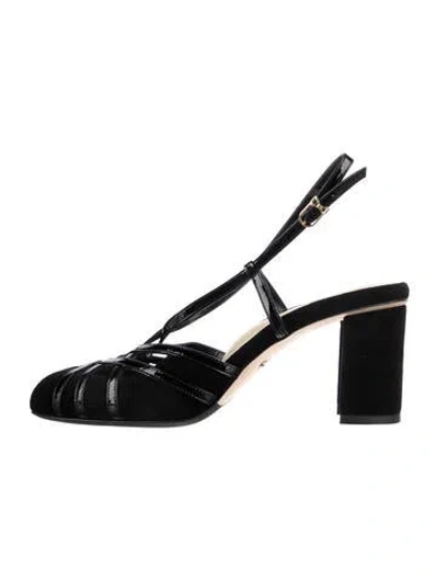 Pre-owned Sarah Flint Suede Pumps In Black