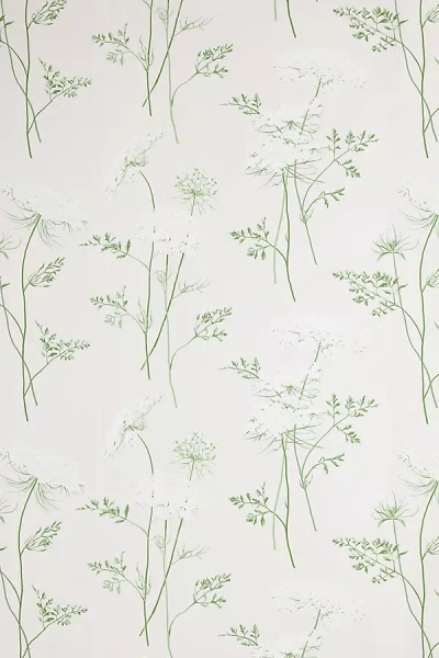 Sarah Jessica Parker For Wallshoppe The Queen's Lace Wallpaper In Black