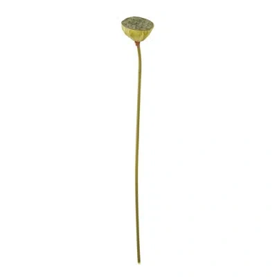 Saro Lotus Pod Floral Accent (set Of 12) In Green