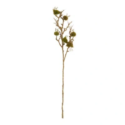 Saro Moss Branch Floral Accent (set Of 6) In Green
