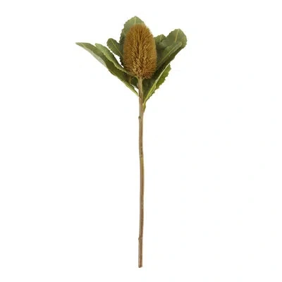 Saro Protea Spray Floral Accent (set Of 6) In Brown
