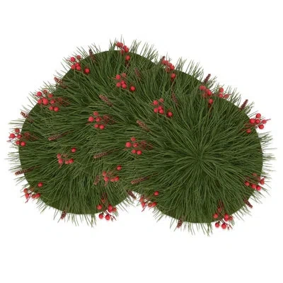 Saro Red Berry Delight Placemat (set Of 4) In Green