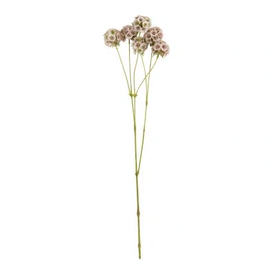 Saro Scabiosa Pods Floral Accent (set Of 12) In Pink