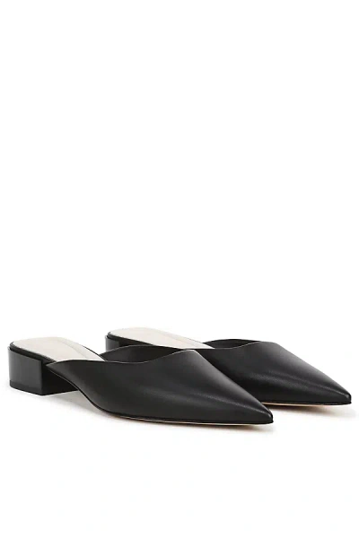 Sarto A-bennet Pointed-toe Mules In Black