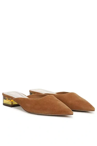 Sarto A-bennet Pointed-toe Mules In Brown