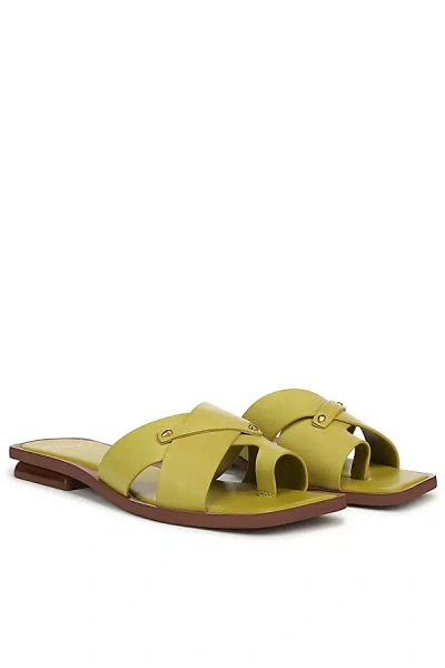 Sarto A-etta Toe-loop Slides In Animal Print