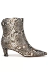 Sarto Alexandria Ankle Boots In Multicolor