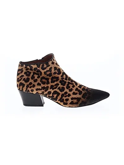 Pre-owned Sarto By Franco Sarto Ankle Boots In Tan