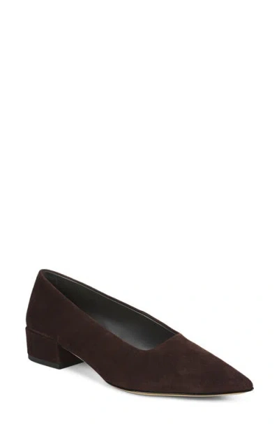 Sarto By Franco Sarto Boa Pointed Toe Pump In Brown