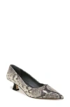 Sarto By Franco Sarto Diva Pointed Toe Kitten Heel Pump In Grey