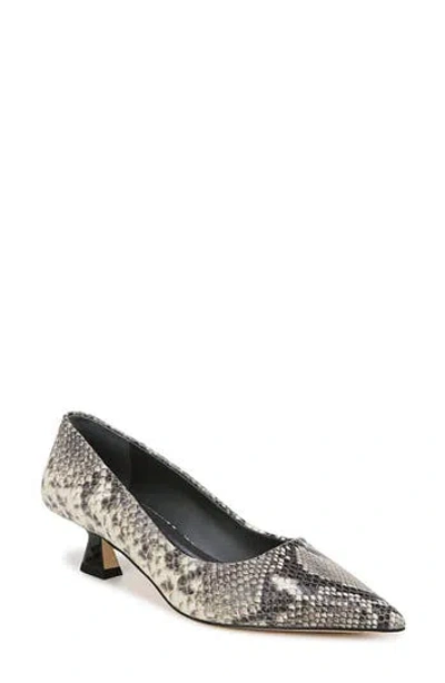 Sarto By Franco Sarto Diva Pointed Toe Kitten Heel Pump In Grey