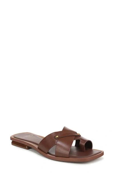 Sarto By Franco Sarto Etta Toe Loop Sandal In Brown