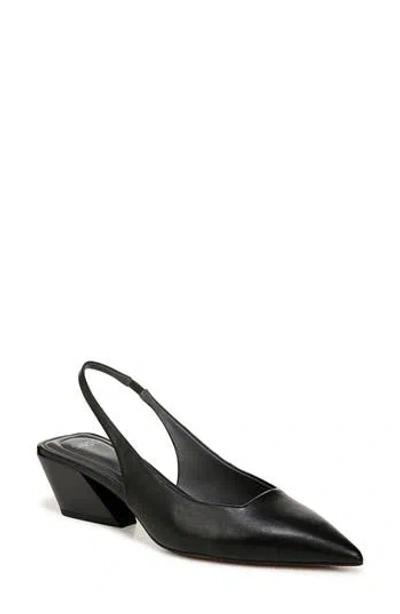 Sarto By Franco Sarto Gena Slingback Pointed Toe Pump In Black