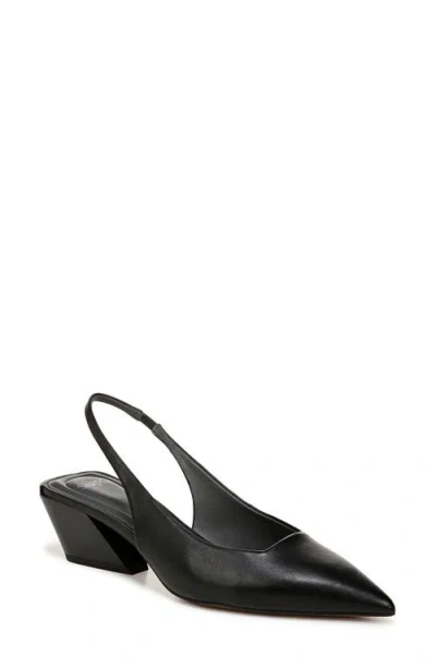 Sarto By Franco Sarto Gena Slingback Pointed Toe Pump In Black