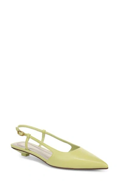 Sarto By Franco Sarto Pheby Slingback Pointed Toe Flat In Green