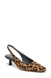 Sarto By Franco Sarto Raven Slingback Kitten Heel Pump In Brown