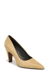Sarto By Franco Sarto Sage Pointed Toe Pump In Beige