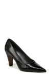 Sarto By Franco Sarto Sage Pointed Toe Pump In Black Snake Print