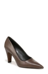 SARTO BY FRANCO SARTO SARTO BY FRANCO SARTO SAGE POINTED TOE PUMP