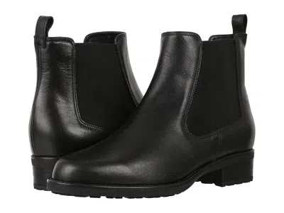 Sas Delaney In Black