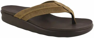 Sas Men's Escape Thong Sandal In Stampede