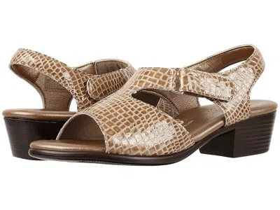 Sas Suntimer In Brown