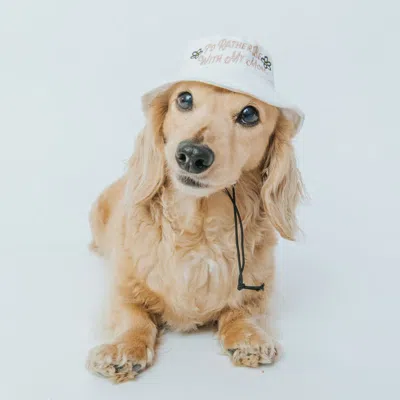 Sassy Woof Dog Bucket Hat In White