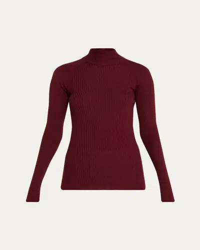 Sasuphi Lupetto Turtleneck Cashmere Rib Sweater In Burgundy