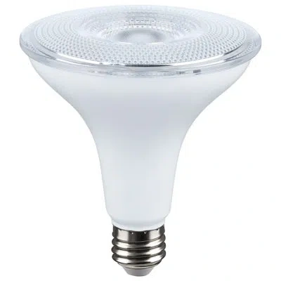 Satco 14 Watt Dusk To Dawn Led Par38 5000k Medium Base White Finish 120 Volt