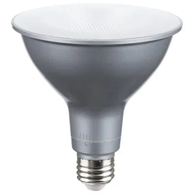 Satco 19 Watt Non-dimmable Led Bulb In White;silver
