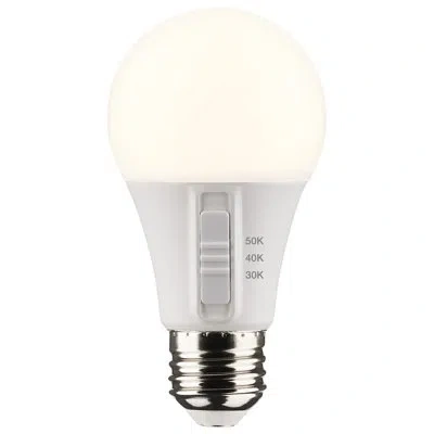 Satco 40 Watt Equivalent A19 E26/medium (standard) Led Bulb In White