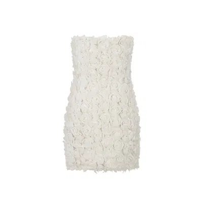 Saty Women's White Floral Mini Bandeau Dress