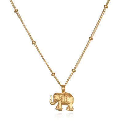 Satya Jewelry Stand In Strength Elephant Necklace In Gold