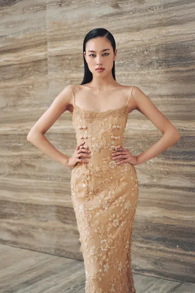 Sau Lee Ramira Embroidered Gown In Nude