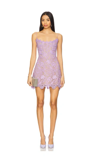 Sau Lee Rory Lace Dress In 薰衣草
