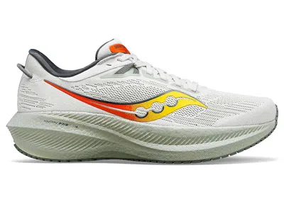 Pre-owned Saucony Men's  Triumph 21 Sneakers In Fog/bough In Gray